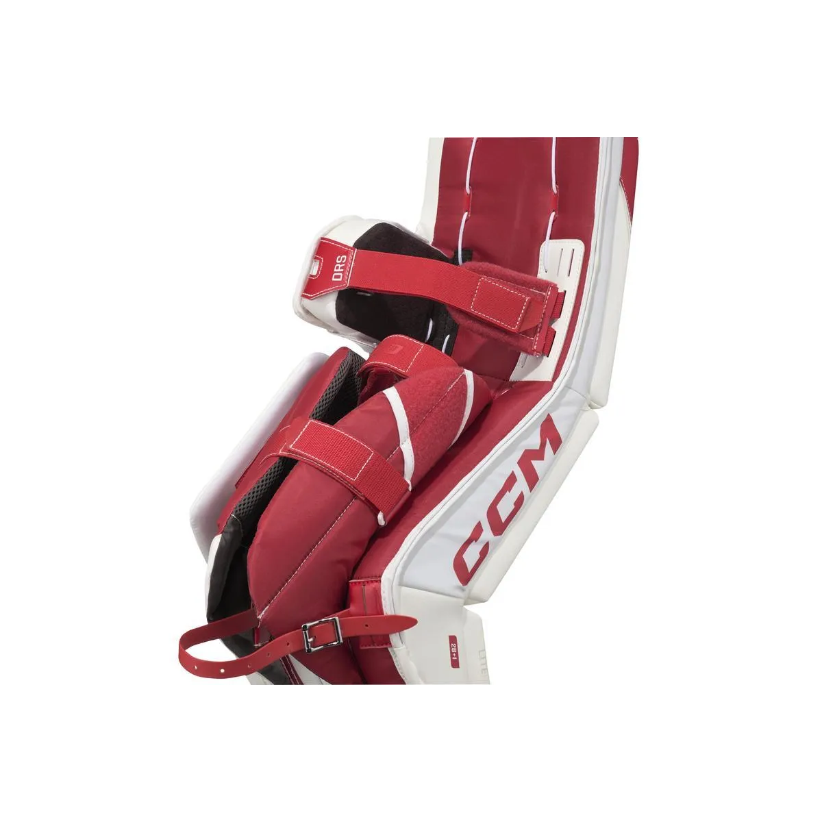 Betony CCM Phenom